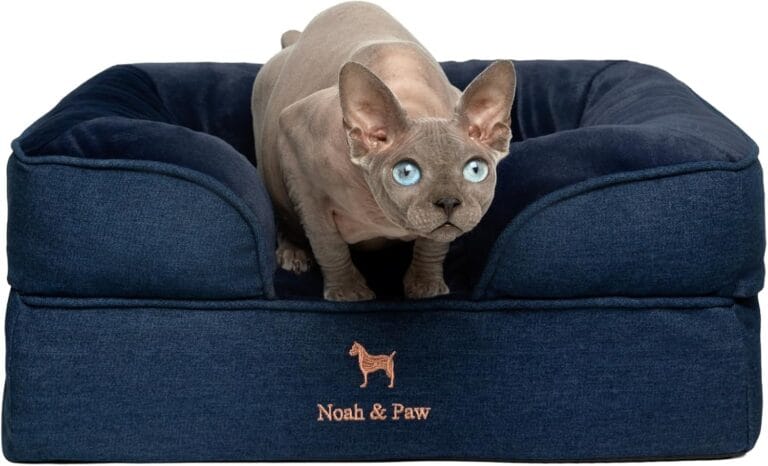 NOAH & PAW Small Dog Bed, 20x15x8 Inch, Cat Bed for Indoor Cats, Orthopedic Eggshell Memory Foam Infused with Cooling Gel, Waterproof Inner Cover Machine Washable (Denim Collection)