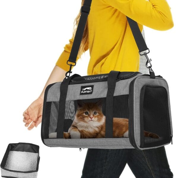 TSA Approved Pet Carrier for Small Cats and Puppies, Soft-Sided and Foldable, Cat and Dog Carrier Fits Pets Up to 15 lbs, Durable Portable Travel Bag with Litter Box, Dark Gray