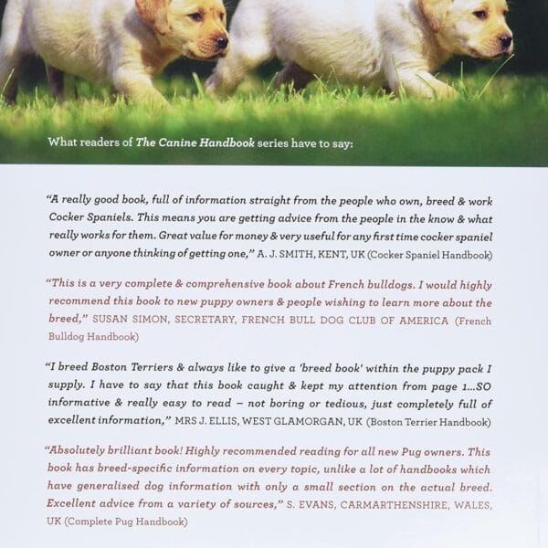 The Complete Labrador Handbook: The Essential Guide for New & Prospective Labrador Owners (Canine Handbooks)