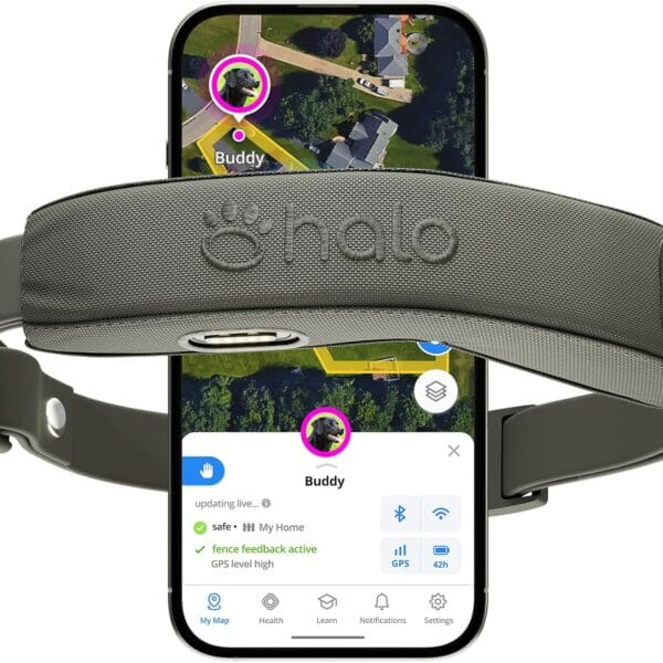 Halo Collar 5, New Wireless Dog Fence & GPS Dog Collar, Subscription Required, Waterproof, Graphite, One Size