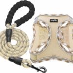 haapaw Dog Harness with Leash Set, No Pull Adjustable Reflective Step-in Puppy Harness with Thickened Padded Vest for Extra-Small/Small Medium Dogs