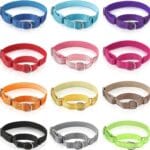 Cunno 12 Pcs Martingale Collar for Medium Dogs Reflective Dog Collar with Durable Metal Buckle Adjustable Nylon Pet Prevent Slipping Out for Pupplies, 12 Colors(Medium)