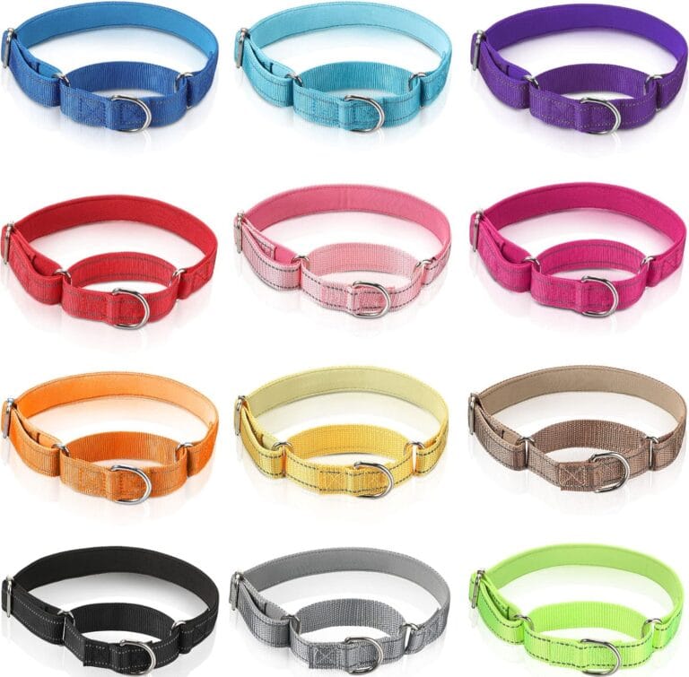 Cunno 12 Pcs Martingale Collar for Medium Dogs Reflective Dog Collar with Durable Metal Buckle Adjustable Nylon Pet Prevent Slipping Out for Pupplies, 12 Colors(Medium)