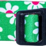 Native Pup Flower Dog Collar, Adjustable Small Medium Large, Cute Girl Female Summer Spring Pretty Designer Puppy Essentials Accessories, Pink Floral Blue Daisy Rose (Medium, Green Daisy)