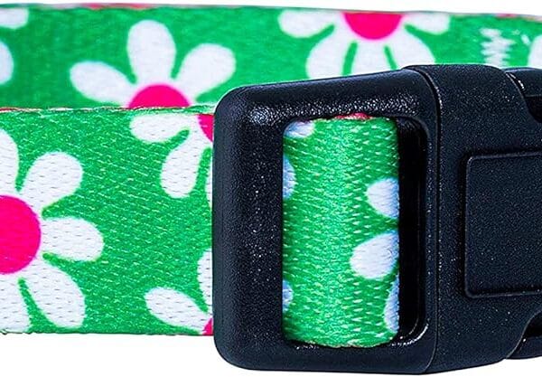 Native Pup Flower Dog Collar, Adjustable Small Medium Large, Cute Girl Female Summer Spring Pretty Designer Puppy Essentials Accessories, Pink Floral Blue Daisy Rose (Medium, Green Daisy)