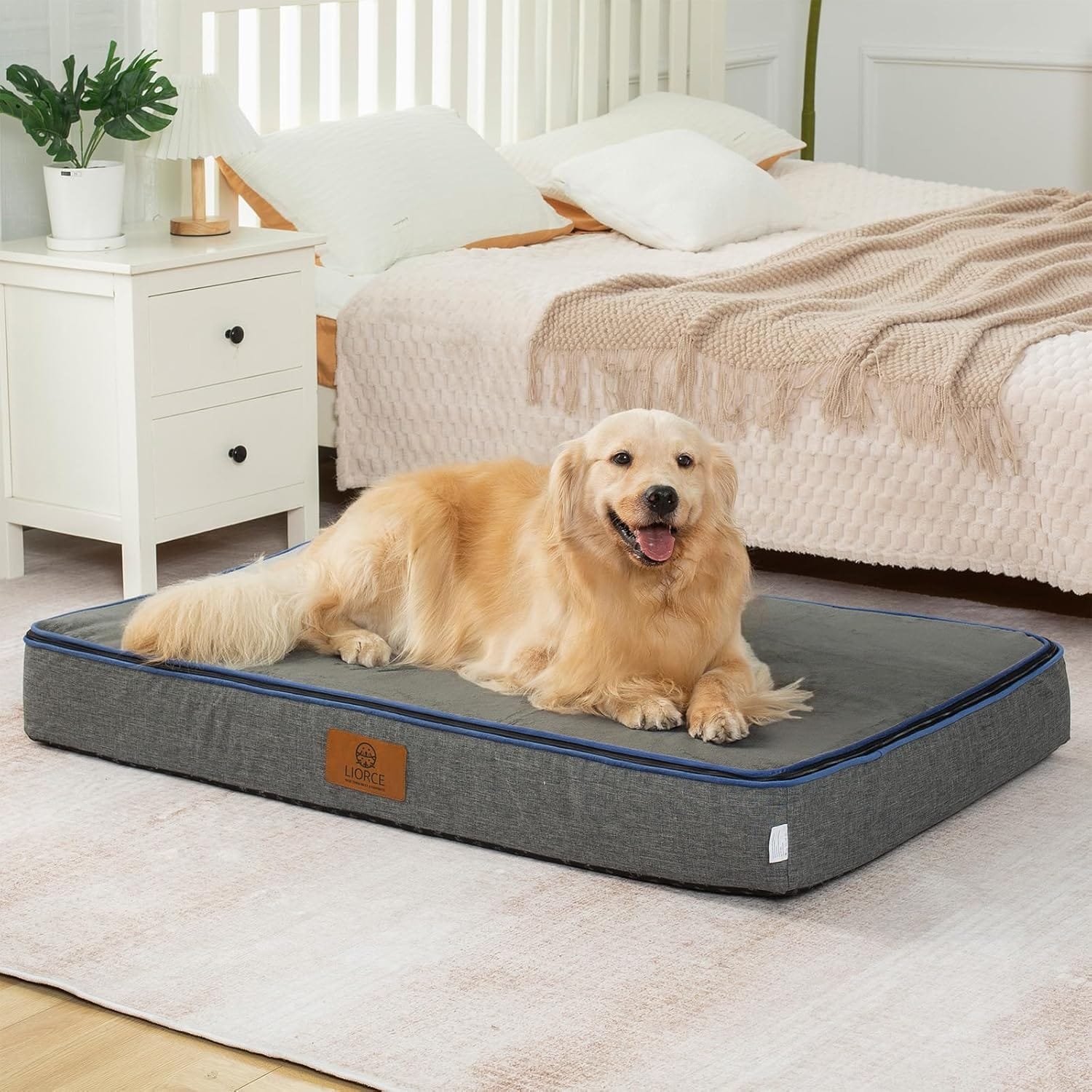 Orthopedic Memory Foam XXL Dog Bed - 6" Thick Beds for Extra Large Sized Dog - Waterproof Removable Washable Cover & Wrap-Around Zipper - Ultimate Comfort & Easy Maintenance, Dary Grey Orthopedic Memory Foam XXL Dog Bed - 6" Thick Beds for Extra Large Sized Dog - Waterproof Removable Washable Cover & Wrap-Around Zipper - Ultimate Comfort & Easy Maintenance, Dary Grey
