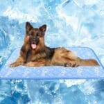 MH MYLUNE HOME Dog Cooling Mat 59" x 40" Arc-Chill Cool Fiber & Endothermic Color Changing Double-Sided Cooling & Warm Dog Mat, Foldable Washable Summer Pet Blanket