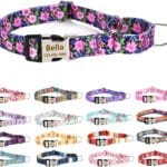 Personalized Custom Customized Engraved Training Martingale Dog Collars with ID Name and Phone Number Buckle for Small Medium Large Dogs