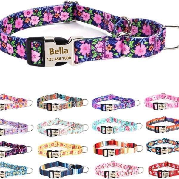 Personalized Custom Customized Engraved Training Martingale Dog Collars with ID Name and Phone Number Buckle for Small Medium Large Dogs