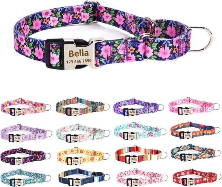 Personalized Custom Customized Engraved Training Martingale Dog Collars with ID Name and Phone Number Buckle for Small Medium Large Dogs