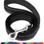 FunTags 6FT Reflective Dog Leash with Soft Padded Handle for Training,Walking Lead for Large & Medium Dog,1 Inch Wide,Black
