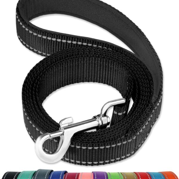 FunTags 6FT Reflective Dog Leash with Soft Padded Handle for Training,Walking Lead for Large & Medium Dog,1 Inch Wide,Black