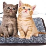 Electric Heating Pad for Dogs and Cats With Anti-bite Steel Cord Waterproof Adjustable Dog Warm Bed Mat Heated Pad for Pets Deds Blankets and Kennel 17.7inx17.7in (Flower Color)