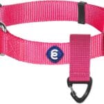 Blueberry Pet Essentials Matching Small Dog Collar & Key Holder Set | Adjustable Classic Solid Color Nylon Dog Collars for Small Dogs w/Key Holder | French Pink Collar for X-Small Dogs