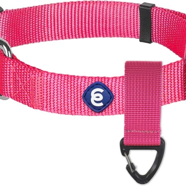 Blueberry Pet Essentials Matching Small Dog Collar & Key Holder Set | Adjustable Classic Solid Color Nylon Dog Collars for Small Dogs w/Key Holder | French Pink Collar for X-Small Dogs