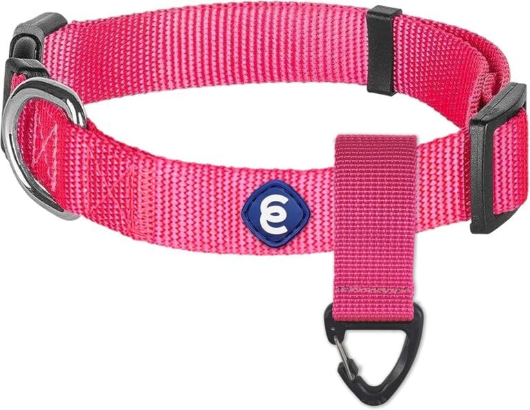 Blueberry Pet Essentials Matching Small Dog Collar & Key Holder Set | Adjustable Classic Solid Color Nylon Dog Collars for Small Dogs w/Key Holder | French Pink Collar for X-Small Dogs