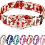 Hikiko Martingale Collar for Dogs with No Buckle Female Designer Floral Dog Collar Nylon No Pull Dog Collars for Medium Dogs,Red Rose,M