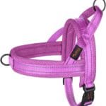 Didog No Pull Dog Harness with Soft Mesh Padded,Reflective & Quick Fit Light Weight Dog Strap Vest Harness,Easy for Walking Training (L:Chest 26-32", Purple)