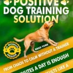 The Positive Dog Training Solution, From Chaos to Calm Without a Trainer: Quick, Simple Steps for Who Want Fast Results and a Calmer Companion. Teach Your High Energy Dog to Listen, Relax, and Behave