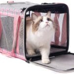 EXPAWLORER Large Cat Carrier Dog Carriers Soft for Small Medium Cats Puppies Up to 20lbs, Airline Approved Pet Carrier Soft-Sided Collapsible Pet Travel Carrier Fit 2 Kitties (Pink)