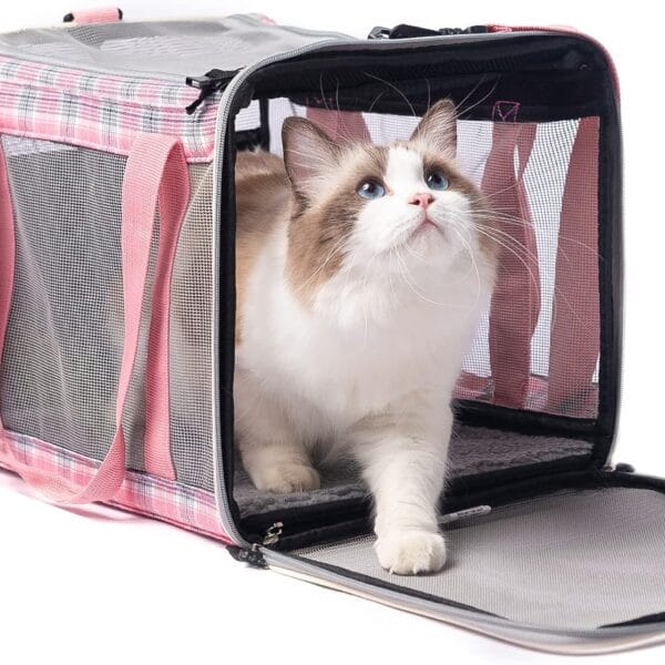 EXPAWLORER Large Cat Carrier Dog Carriers Soft for Small Medium Cats Puppies Up to 20lbs, Airline Approved Pet Carrier Soft-Sided Collapsible Pet Travel Carrier Fit 2 Kitties (Pink)