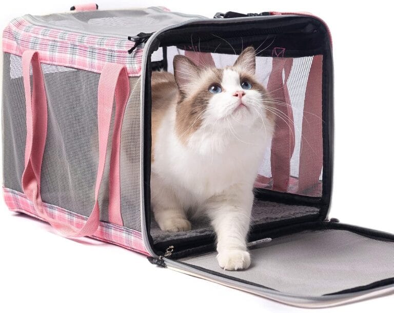 EXPAWLORER Large Cat Carrier Dog Carriers Soft for Small Medium Cats Puppies Up to 20lbs, Airline Approved Pet Carrier Soft-Sided Collapsible Pet Travel Carrier Fit 2 Kitties (Pink)