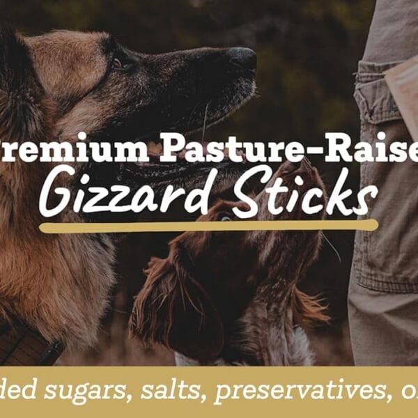 Farm Hounds - Duck Gizzards - Premium Natural Jerky for Dogs - 100% Humanely Raised Duck - Break-to-Size - Great for Training & Treats - No Added Fillers - Made in USA - 4oz - 1 Pack