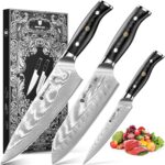 Damascus Knife Set 3 PCS with Premium VG10 Damascus Steel, Ultra-Sharp Professional Japanese Kitchen Knife Set, Full Tang Chef Knife Set with G10 Hand