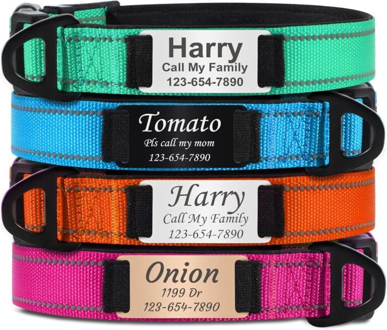 TagME Personalized Dog Collar with Name Plate, Custom Reflective Nylon Dog Collar, Soft Neoprene Padded, 12 Colors, 3 Fonts, Fits Medium Pets