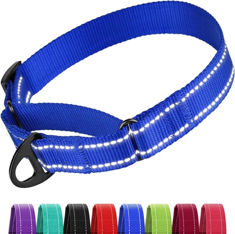 Collardirect Reflective Martingale Dog Collar Nylon Training Collars for Small Medium Large Dogs Puppy Pink Orange Green (L, Neck Size 16"-24", Blue)