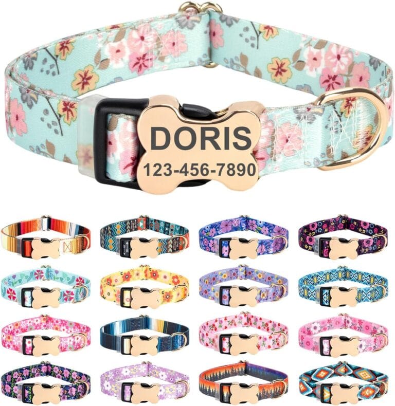 Moonpet Personalized Custom Customized Dog Collar with Engraved ID Dog Name and Phone Number Bone Buckle/Heavy Duty Adjustable Dog Collars for Puppy X-Small Small Medium Large X-Large Boy Girl Dogs