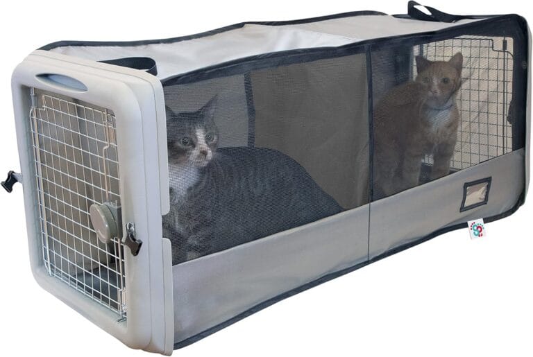 Sport Pet Car Seat Pet Crate with Divider