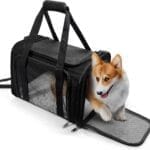 Dog Carrier for Pets, Up to 25 Lbs, Collapsible Travel Carriers for Puppy with Shoulder Strap and Removable Mat, 20x13x13 Inch, Black