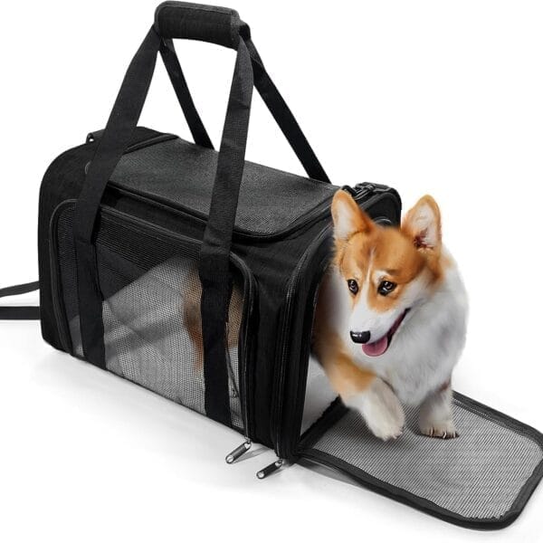 Dog Carrier for Pets, Up to 25 Lbs, Collapsible Travel Carriers for Puppy with Shoulder Strap and Removable Mat, 20x13x13 Inch, Black
