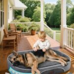 OhGeni Orthopedic Big Dog Couch Pet Sofa XL Sized Cat Beds Mom Gifts for Christmas with Comfort Foam Support, Soft Comfortable Fabric, Machine Washable Waterproof Removable Cover, 42-Inch (Gray)