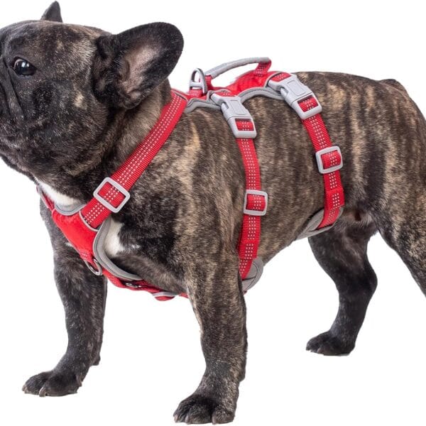 Huntboo Escape Proof Dog Harness, Escape Artist Harness, Reflective Harness with Padded Handle, Breathable, Durable, Adjustable Vest for Medium Dogs Walking, Training, and Running Gear (Red, M)