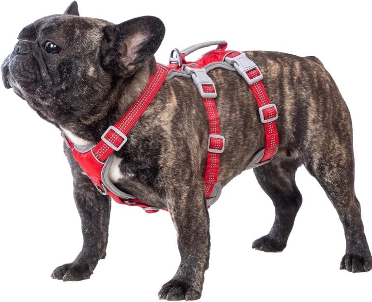 Huntboo Escape Proof Dog Harness, Escape Artist Harness, Reflective Harness with Padded Handle, Breathable, Durable, Adjustable Vest for Medium Dogs Walking, Training, and Running Gear (Red, M)