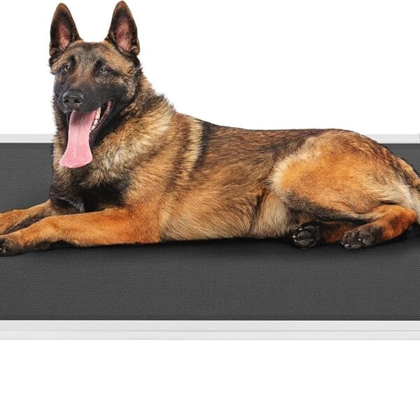 Veehoo Chew Proof Elevated Dog Bed - Cooling Raised Pet Cot - Silver Aluminum Frame and Durable Textilene Mesh Fabric, Unique Designed No-Slip Feet for Indoor or Outdoor Use, Black, 42"x 31"