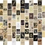 KBKBART Vintage Wall Collage Kit Aesthetic Pictures, 70pcs Retro Cottagecore Room Decor, Cute Photo Collage Posters for Room Aesthetic, Vintage Botanical Posters 4"x6" for Dorm, Bedroom, Teen, Girls