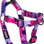 Wolfgang Heavy Duty Adjustable Dog Harness, Pull-Tested to Over 800 lbs for Walking & Training, Daydream Print, Large