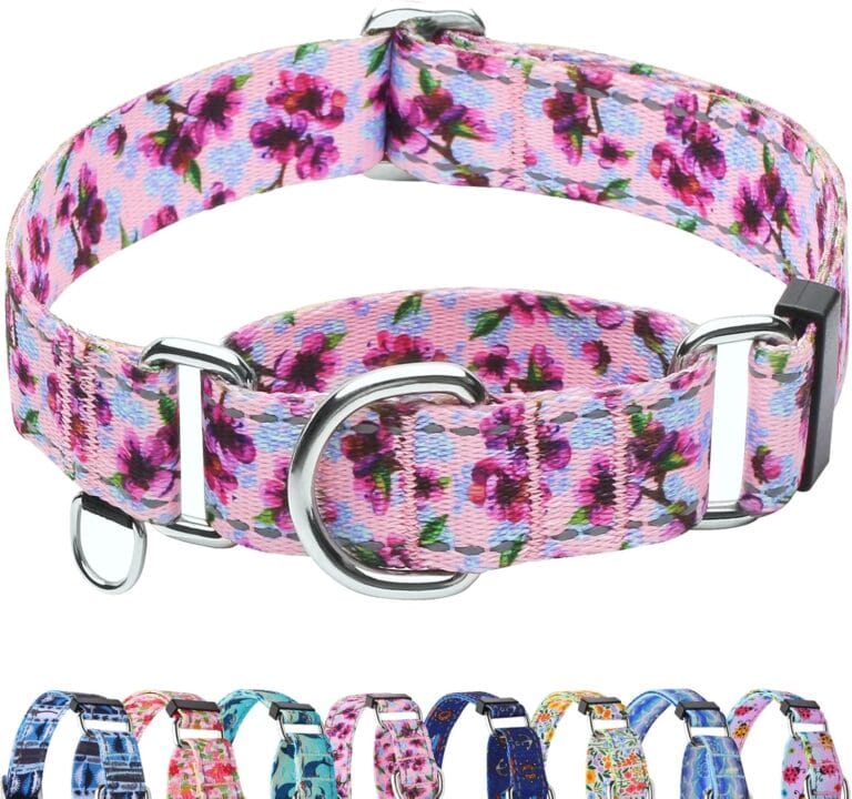 Reflective Martingale Collar for Dogs Nylon Training Collar with No Buckle Cute Floral No Pull Dog Collar for Large DogsPurple FlowerL