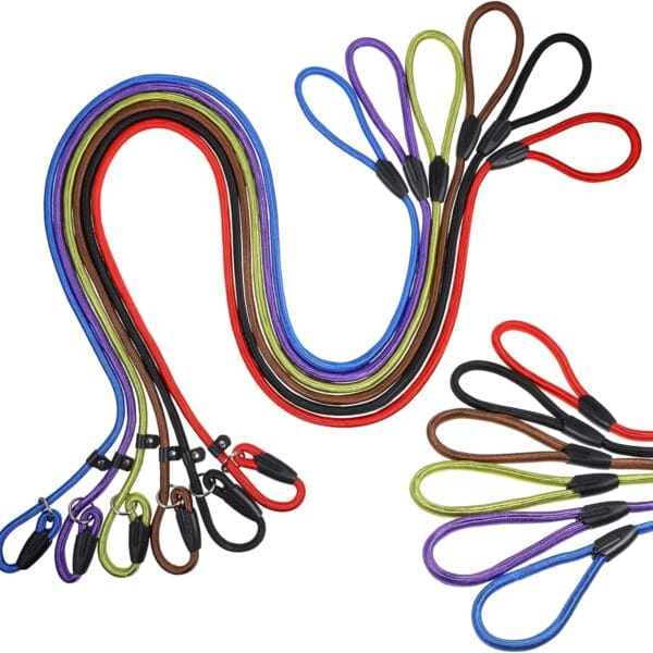 6pcs Slip Leads Dog Leash Heavy Duty Rope Leash for Small Medium Dogs, 5FT Classic Dog Leashs Strong Nylon Dog Training Leashs Strong Comfortable Loop Leashes (3/8", 6 Colors)