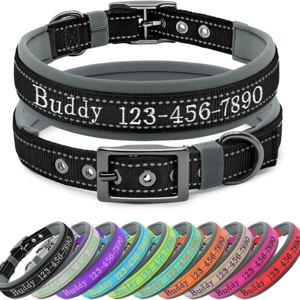 Nylon Personalized Dog Collar with Embroidered Name & Phone, Customizable, Reflective Strip, Soft Neoprene Lining, Durable Metal Buckle - Matching Leash Available