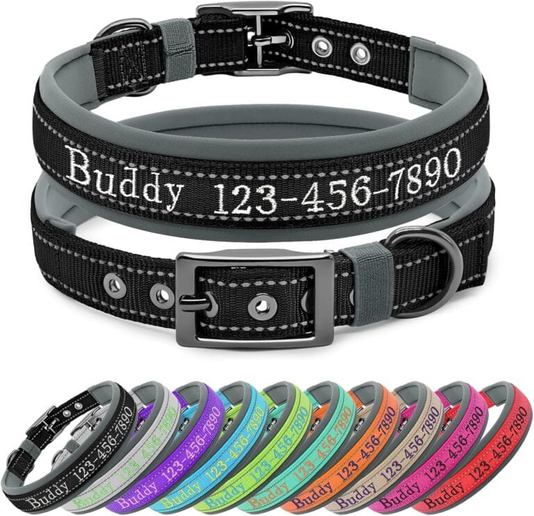 Nylon Personalized Dog Collar with Embroidered Name & Phone, Customizable, Reflective Strip, Soft Neoprene Lining, Durable Metal Buckle - Matching Leash Available