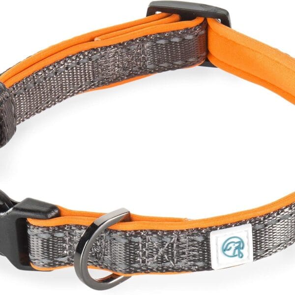 Embark Adventure Dog Collar with Soft Padded Neck, Matching Set with The Adventure Leash and Harness, Pet Collars for Dogs & Most Breeds - Dog Collar for Small Dogs (Small Dog Collars, Orange)