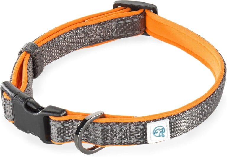 Embark Adventure Dog Collar with Soft Padded Neck, Matching Set with The Adventure Leash and Harness, Pet Collars for Dogs & Most Breeds - Dog Collar for Small Dogs (Small Dog Collars, Orange)