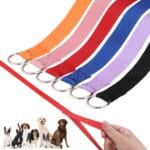 HOMIMP Slip Lead Dog Leash 6 FT- 6 PCS Bulk Colors Kennel Control Leashes for Small Medium Large Dogs Puppy Animal Rescue, Grooming - Heavy Duty Strong Nylon 6 Foot Long for Shelter, Vet, Training