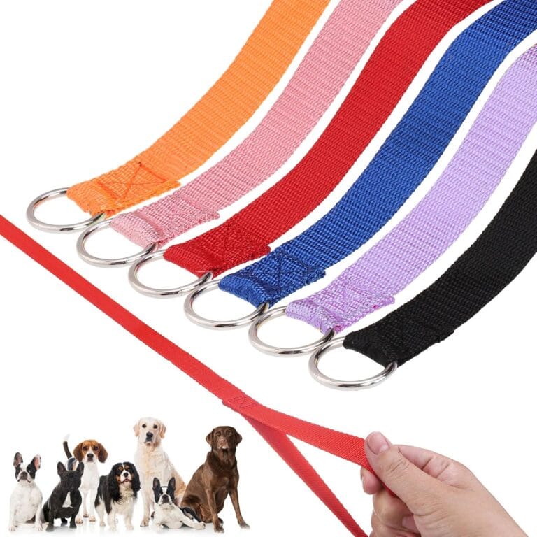 HOMIMP Slip Lead Dog Leash 6 FT- 6 PCS Bulk Colors Kennel Control Leashes for Small Medium Large Dogs Puppy Animal Rescue, Grooming - Heavy Duty Strong Nylon 6 Foot Long for Shelter, Vet, Training
