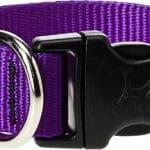 LupinePet Basics 1" Purple 16-28" Adjustable Collar for Large Dogs