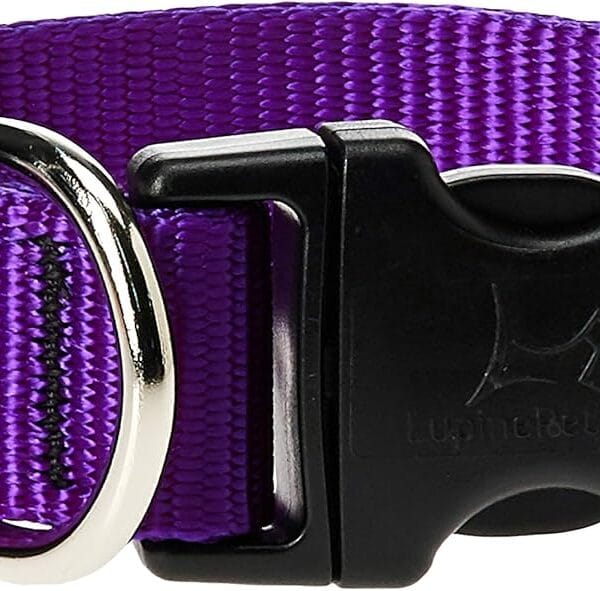 LupinePet Basics 1" Purple 16-28" Adjustable Collar for Large Dogs